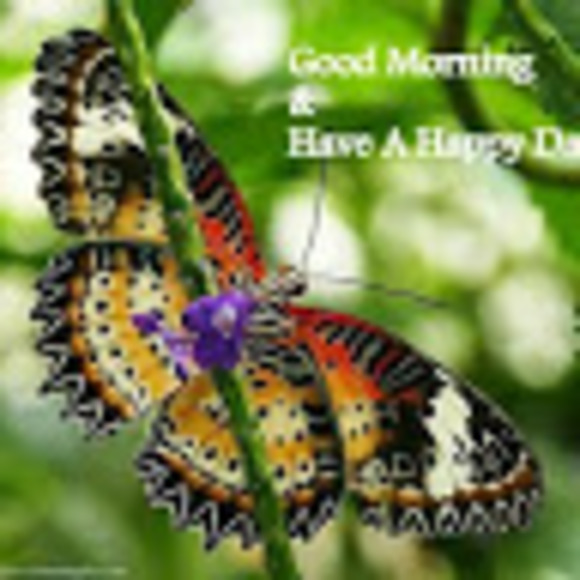 Meet your Posher, Kirandeep - Picture 1 of 1